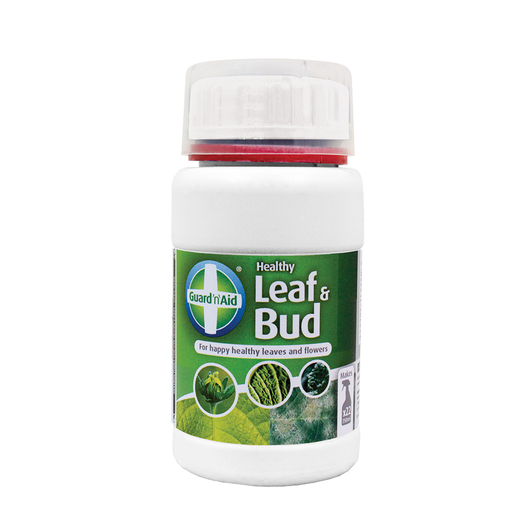 Guard n Aid Healthy Leaf & Bud 250ml